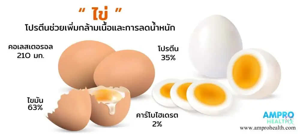ไข่ไก่ 1 ฟอง โปรตีน